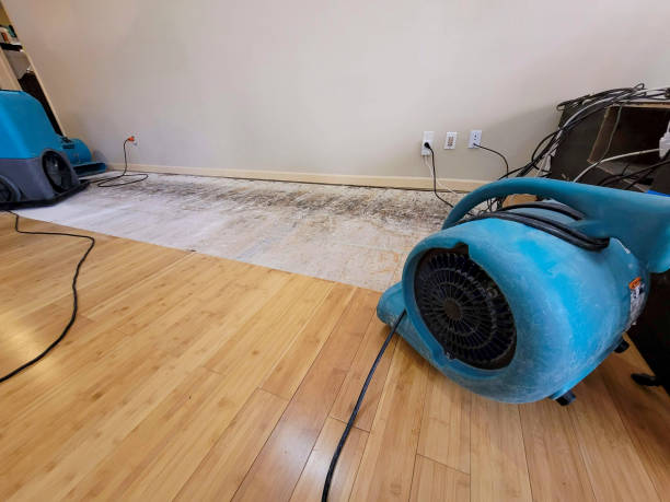 Professional Water Damage Repair technician working in Waterloo, SC
